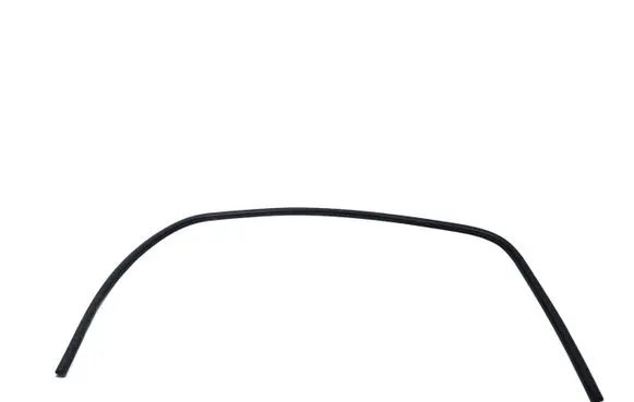 Dodge Challenger Front door rubber seal AL25592XTP006JJJJ4