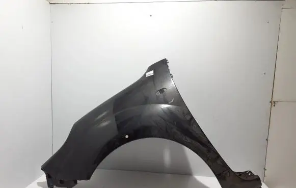 Renault Kangoo II Fender 631015870R