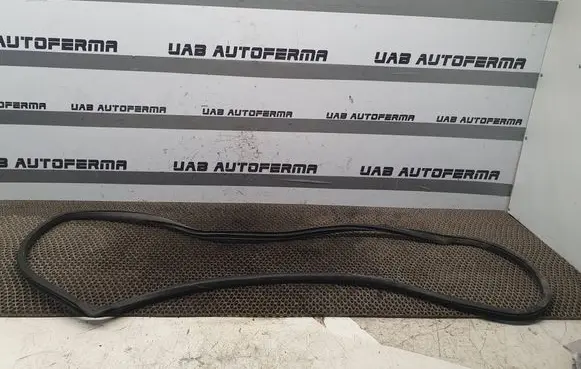 Nissan Murano Z51 Rear door rubber seal (on body) 
