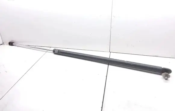 Pontiac Trans Sport Tailgate/trunk strut/damper 10219120