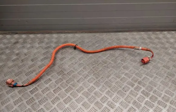 Tesla Model S Other wiring loom 600738300B