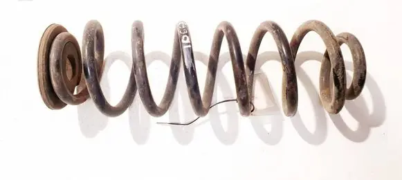 Volkswagen PASSAT B6 Rear coil spring