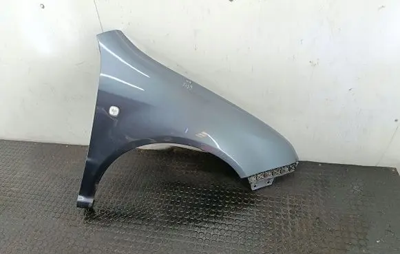 Skoda Fabia Mk1 (6Y) Fender 