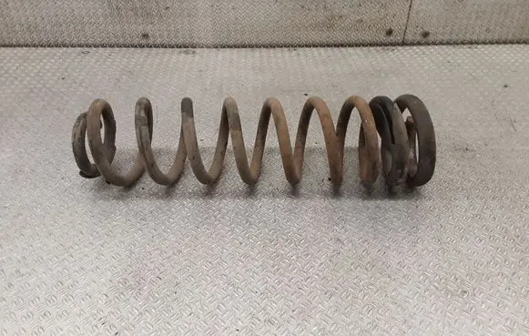 Rear coil spring