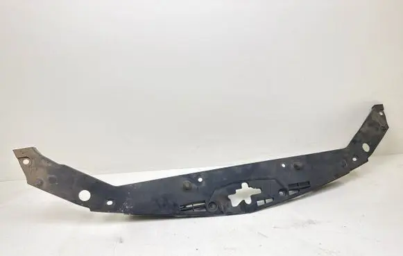 Engine bonnet/hood lock trim molding