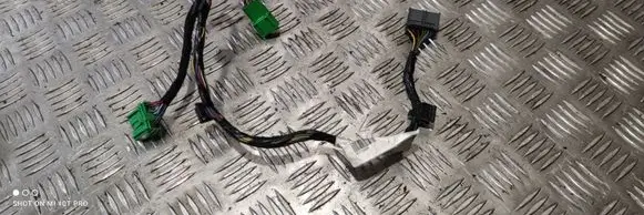 Other wiring loom