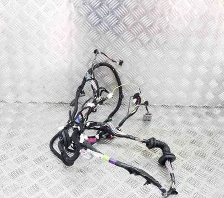 Tesla Model S Front door wiring loom 100441991U
