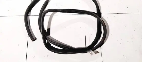 Land Rover Range Rover Sport L320 Rubber seal front coupe door 