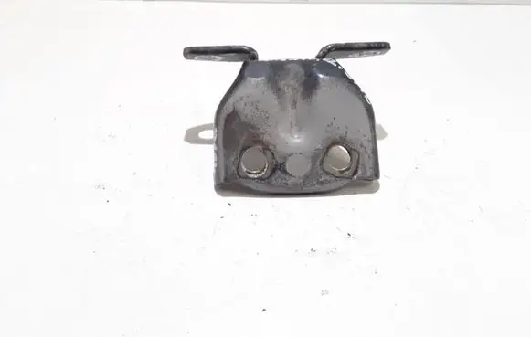 Hyundai Santa Fe Rear door upper hinge