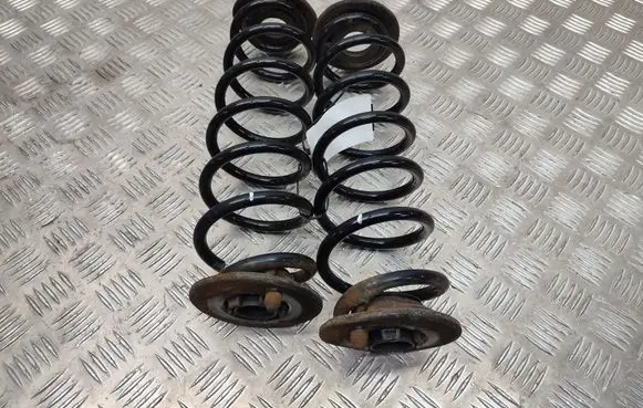 Rear coil spring