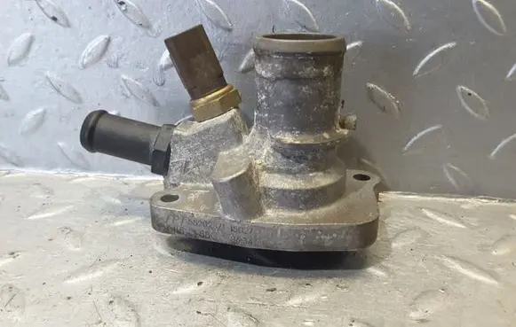 Thermostat/thermostat housing