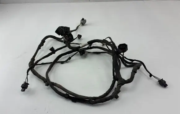 Volkswagen PASSAT B7 Parking sensor (PDC) wiring loom 3AA971095T
