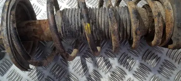 Hyundai Elantra Rear coil spring