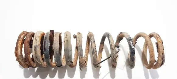 Rear coil spring