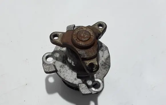 Renault Trafic II (X83) Water pump 210103098R