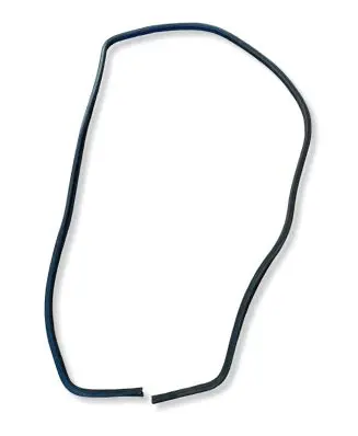 Fiat Ducato Front door rubber seal 