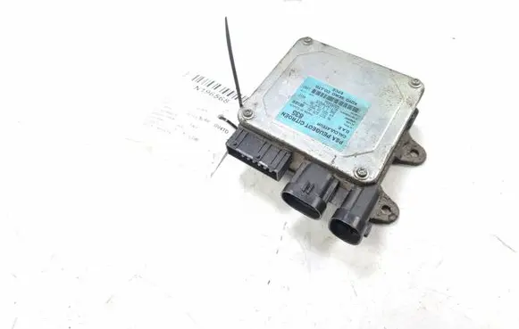 Citroen C3 Power steering control unit/module 9653783580 WSPOMAGANIA