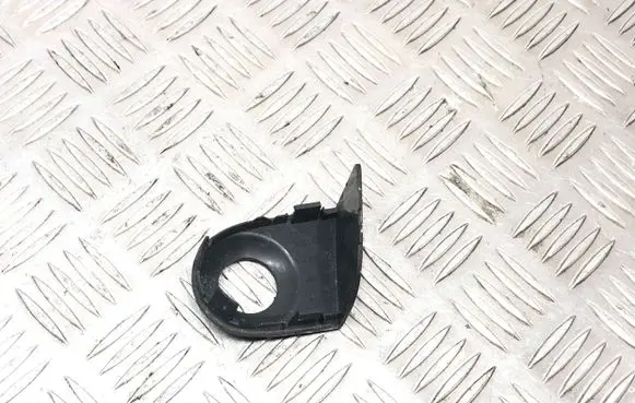 Other front door trim element