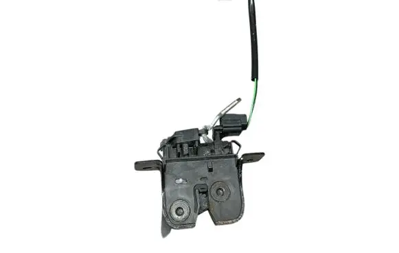 Dacia Sandero II Loading door lock 905037373R 40707205