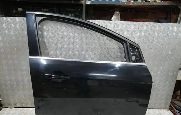 Ford Focus Front door 