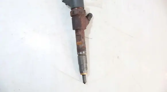 Renault Megane II Fuel injector 0445110110B