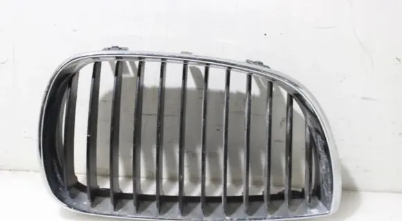 BMW 1 E81 E87 Front grill