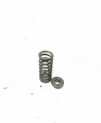 Renault Espace - Grand espace IV Valve spring 