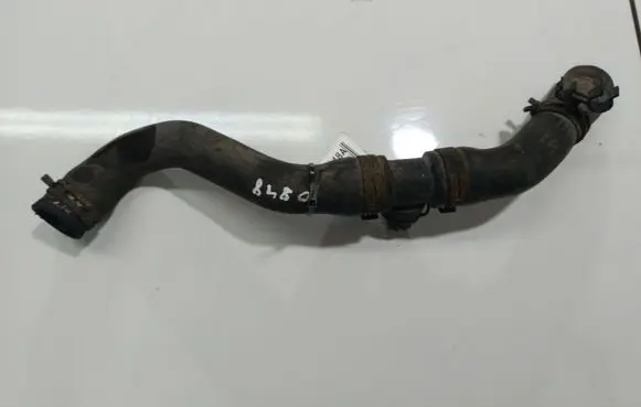 Seat Alhambra (Mk1) Engine coolant pipe/hose 