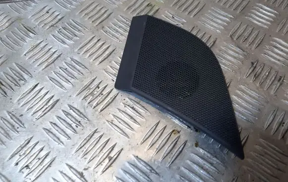 Side speaker trim/cover