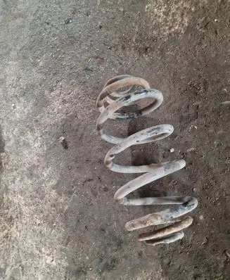 Opel Vectra C Rear coil spring