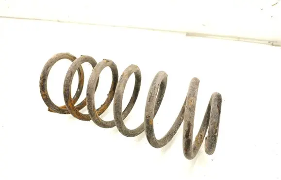 Rear coil spring