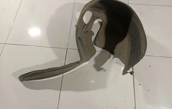 Peugeot 406 Rear arch fender liner splash guards 