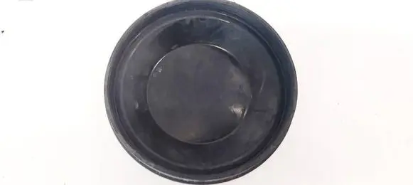 Skoda Roomster (5J) Headlight/headlamp dust cover P3169