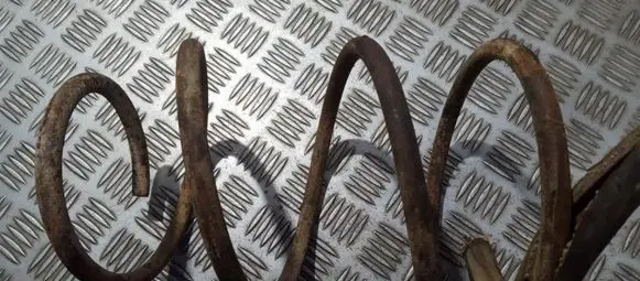 Chrysler Neon I Rear coil spring