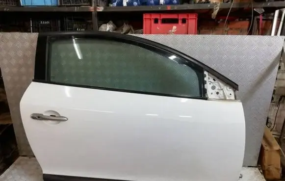 Renault Megane III Front door