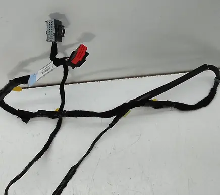 Ford Mustang VI Other wiring loom FR3T14B242BE G281T