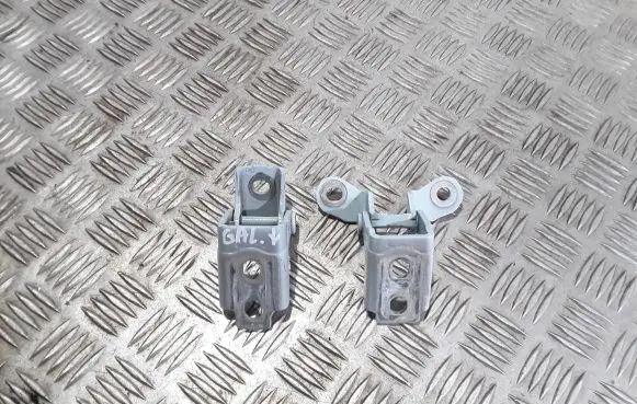 Renault Twingo III Rear door hinge set 