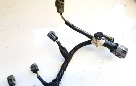 Other wiring loom