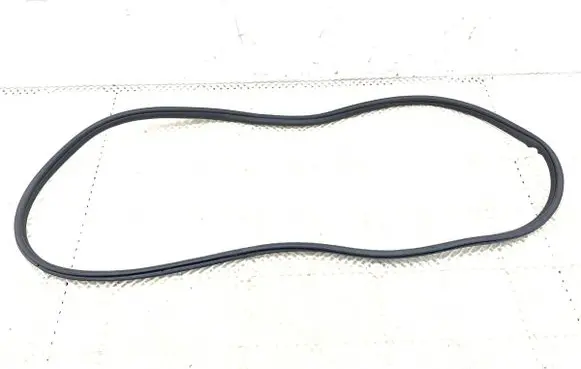 BMW X4 G02 Rubber seal front door (on door) 7416498