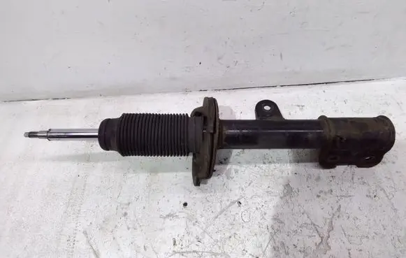 Hyundai Santa Fe Front shock absorber/damper 546602B510