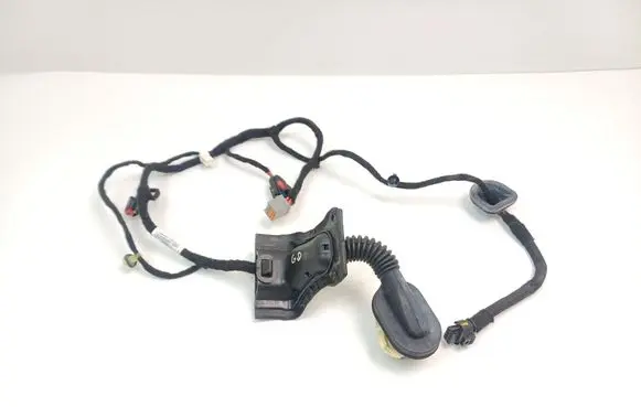 Rear door wiring loom