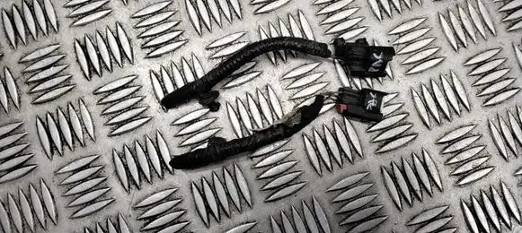 Other wiring loom