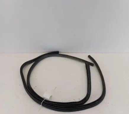 Mini Cooper Coupe R58 Front door rubber seal