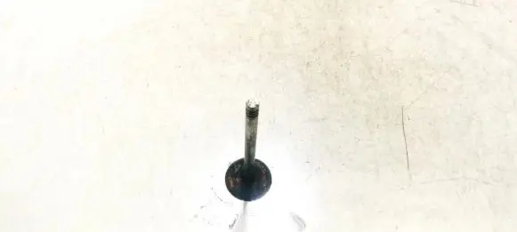 Volkswagen Tiguan Valve 