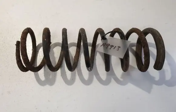 Rear coil spring