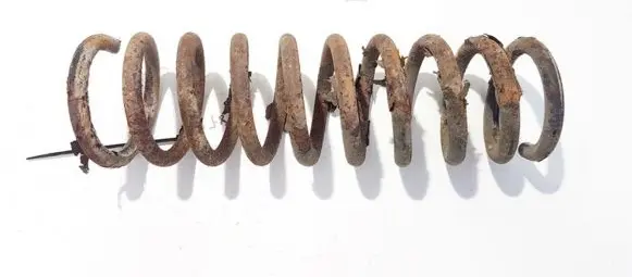KIA Ceed Rear coil spring