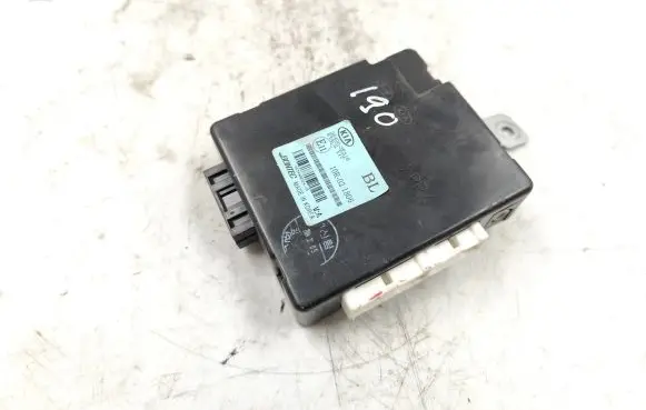 KIA Sorento Door control unit/module 954003E310 10R021806 S434400324X