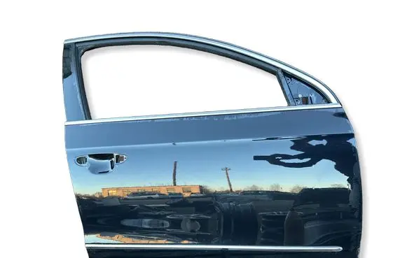 Volkswagen PASSAT B6 Front door 