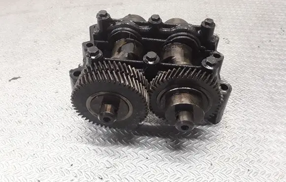Renault Koleos I Balance shaft 