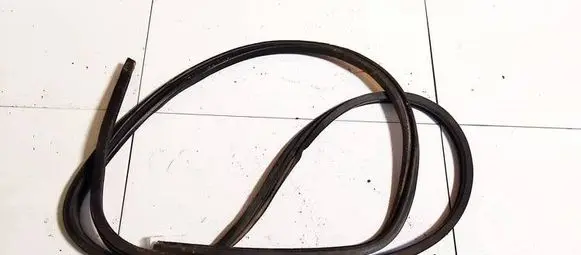 Renault Kangoo I Rubber seal front coupe door 